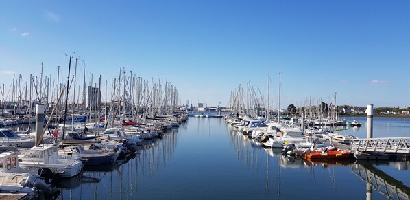 A marina with numerous boats docked, calm water, and a clear sky.