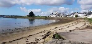 A beach with a sandy shore, a calm body of water, and houses in the background.