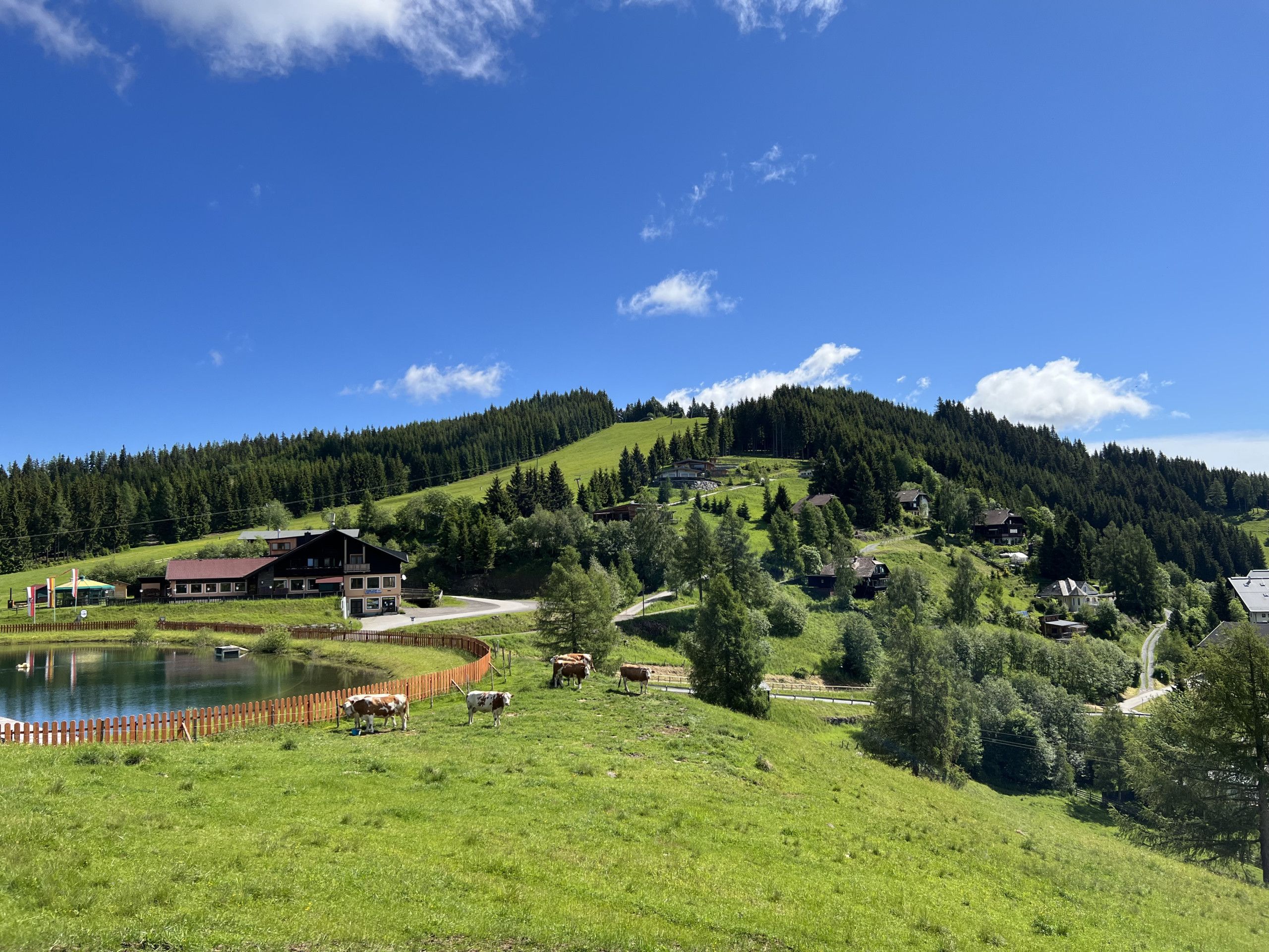 Et landligt landskab med en sø, huse og græssende køer.