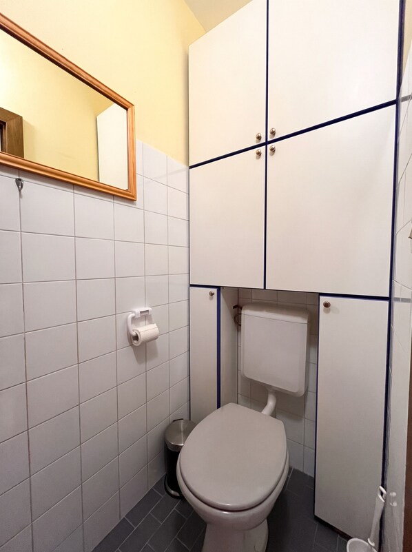 A small bathroom with a toilet, a mirror, and a toilet paper holder. - Weitblick Apartment Simonhöhe by WÖRTHWHILE (St. Urban)