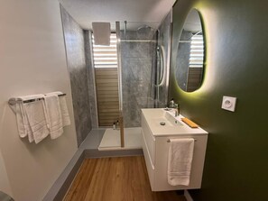 A modern bathroom with a glass shower enclosure, a white sink, and a mirror with a green accent. - New Listing (Saint-Denis)