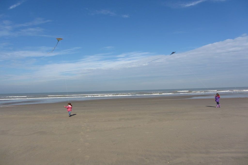 Una spiaggia con cielo sereno e due bambini che fanno volare aquiloni.