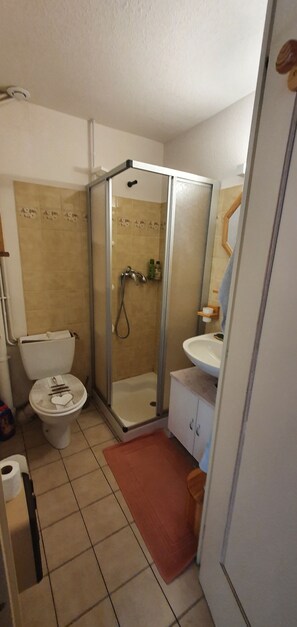 A bathroom with a shower enclosure, toilet, sink, and a small rug on the floor.