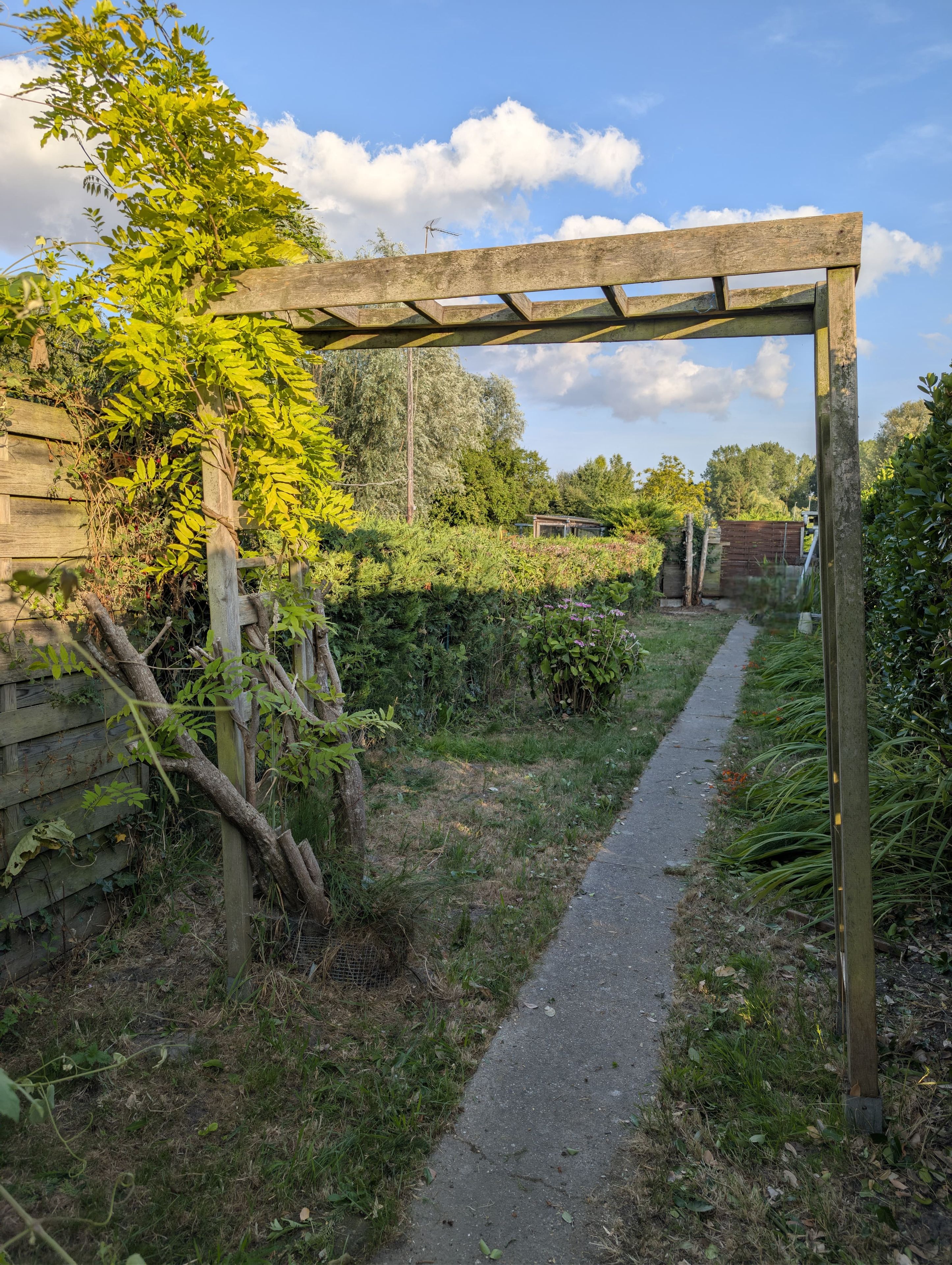 Un sentier étroit bordé d’une végétation luxuriante et d’une structure en bois.