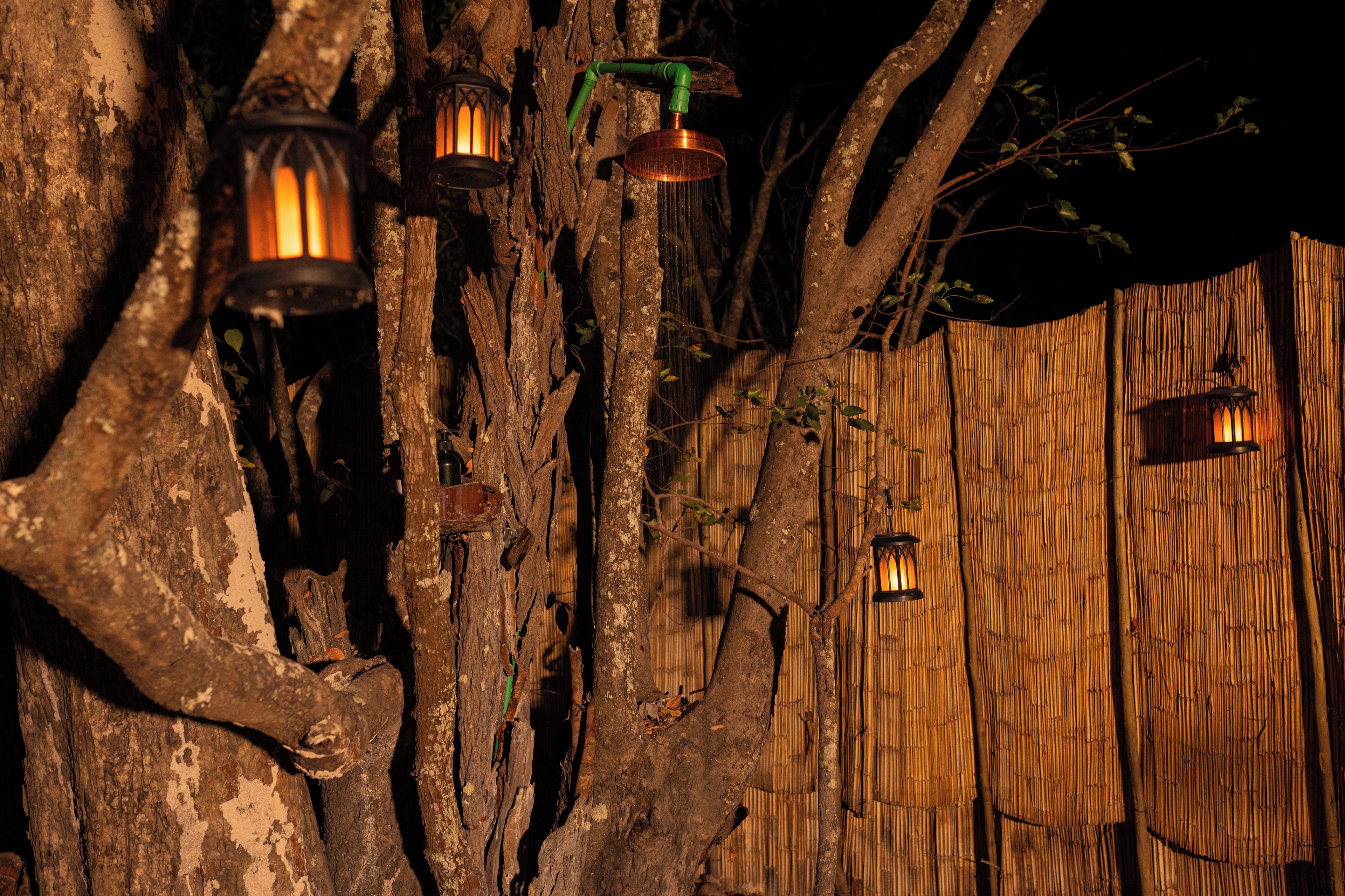 Un albero decorato con lanterne appese ai rami.