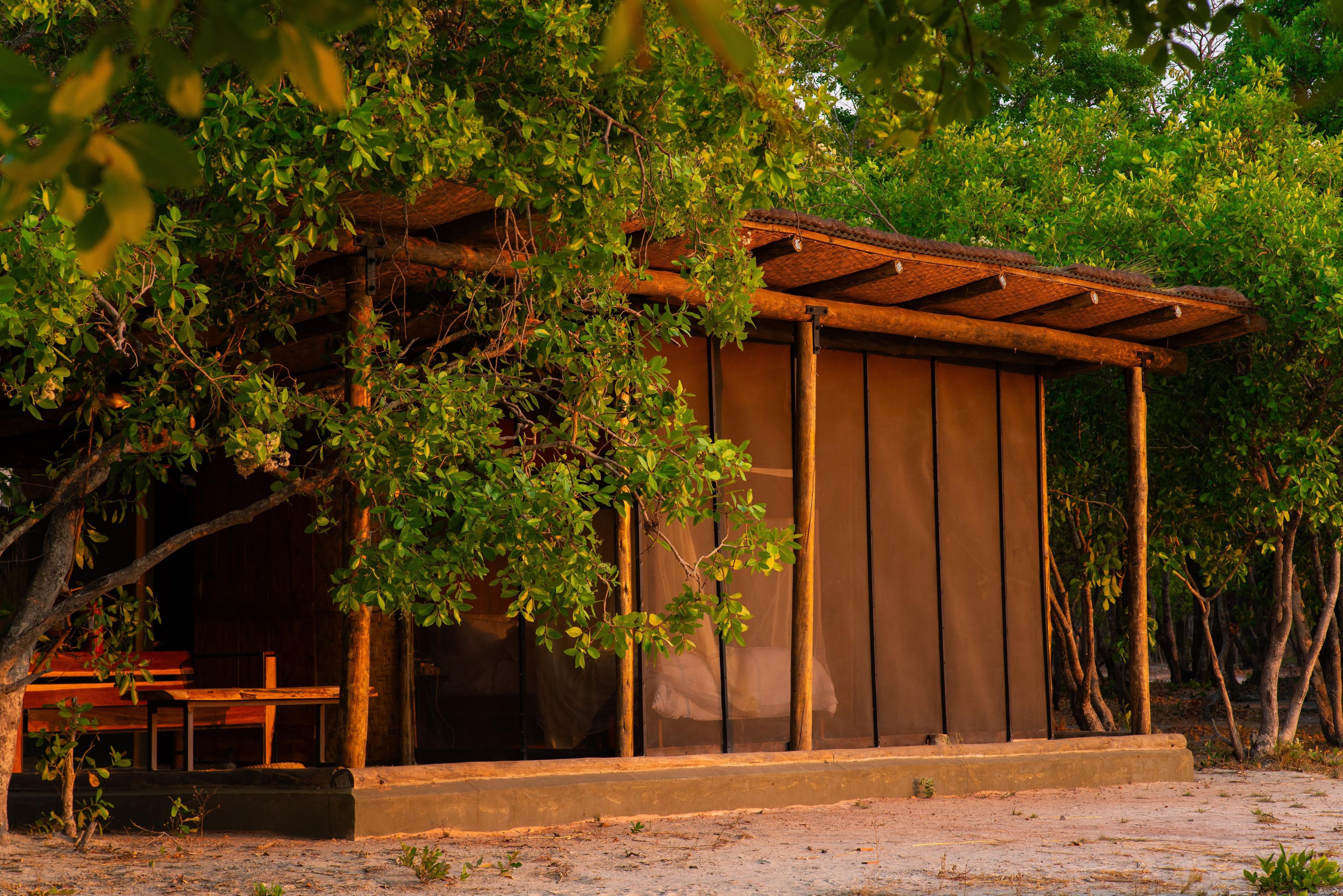 A wooden structure with a roof, surrounded by trees and vegetation.