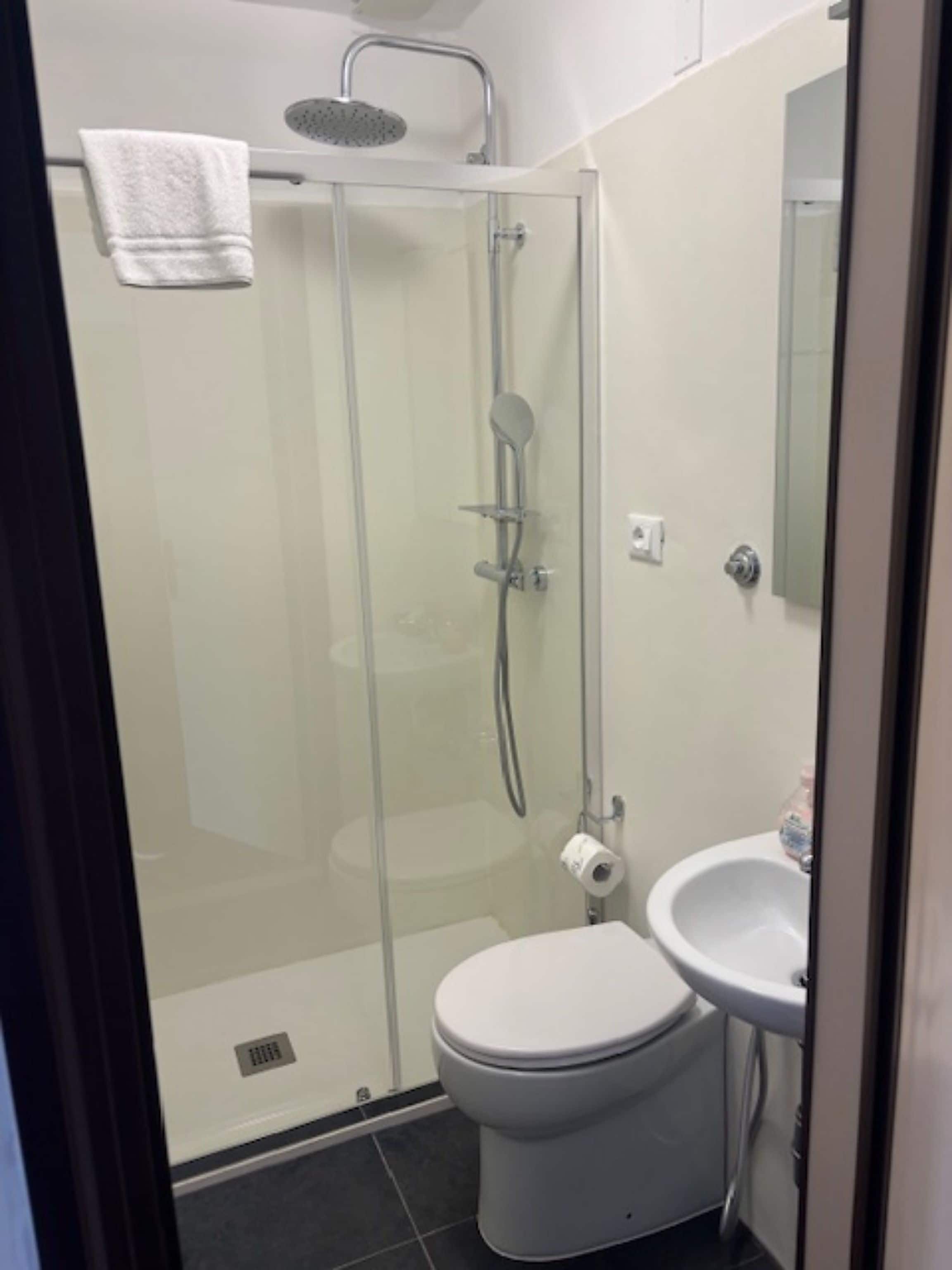 Ein Badezimmer mit einer Duschkabine, einer weißen Toilette und einem Waschbecken.
