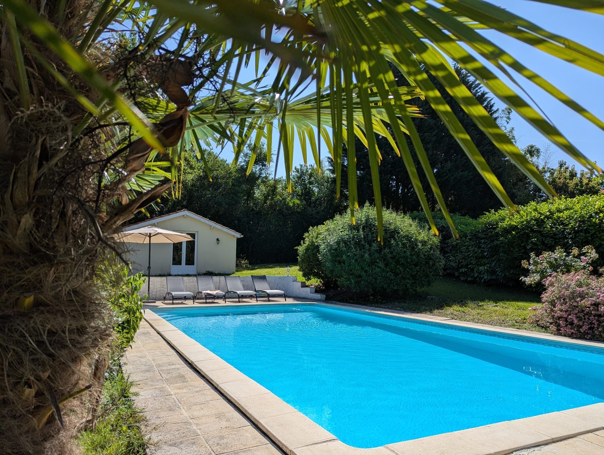 A clear blue swimming pool with a tiled edge, surrounded by lush greenery and a small building with a white roof.
