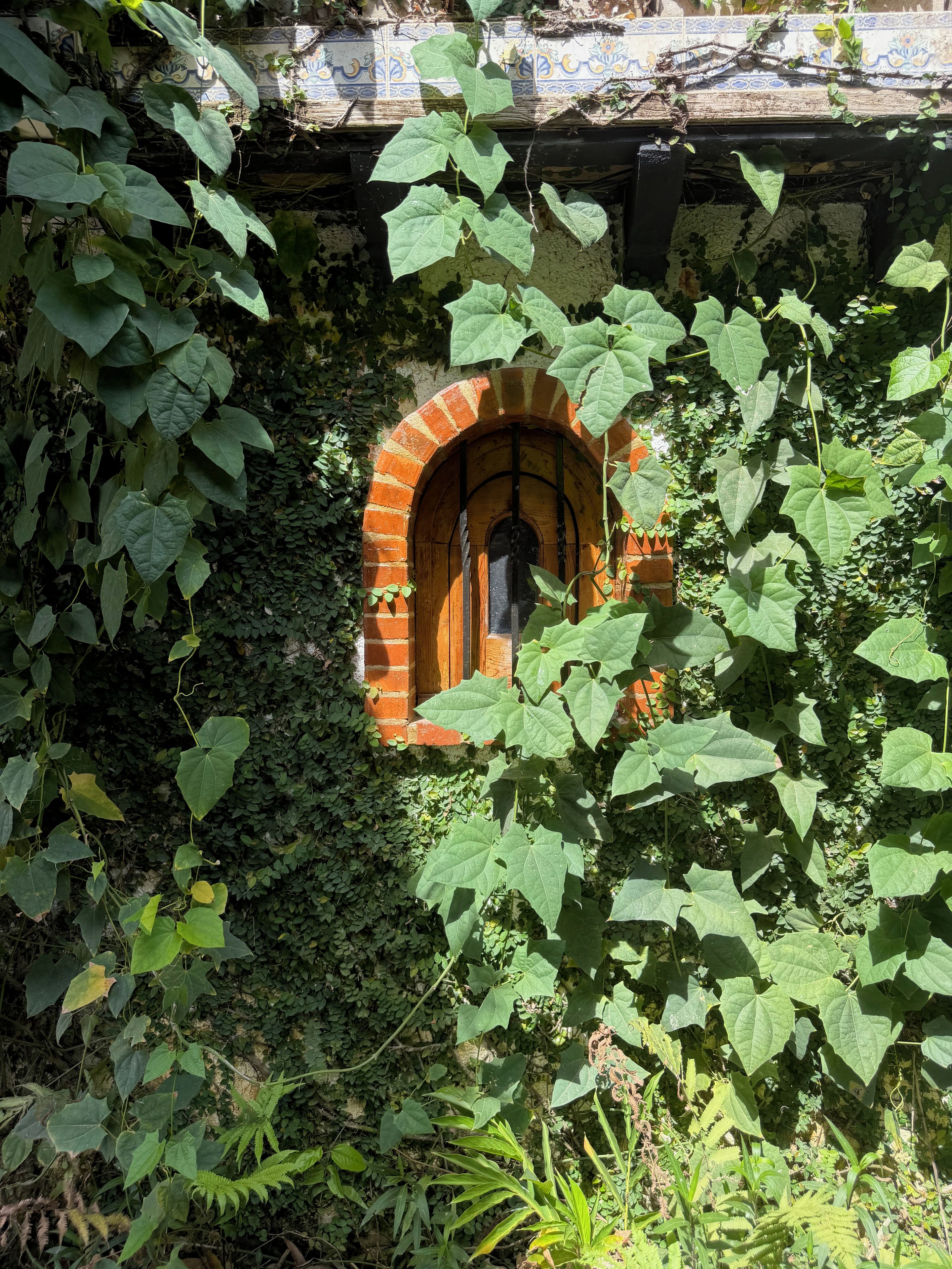 Un arco de ladrillo con una ventana, rodeado de follaje denso.