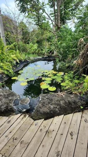 Una terraza de madera que da a un estanque con nenúfares, rodeado de abundante vegetación.