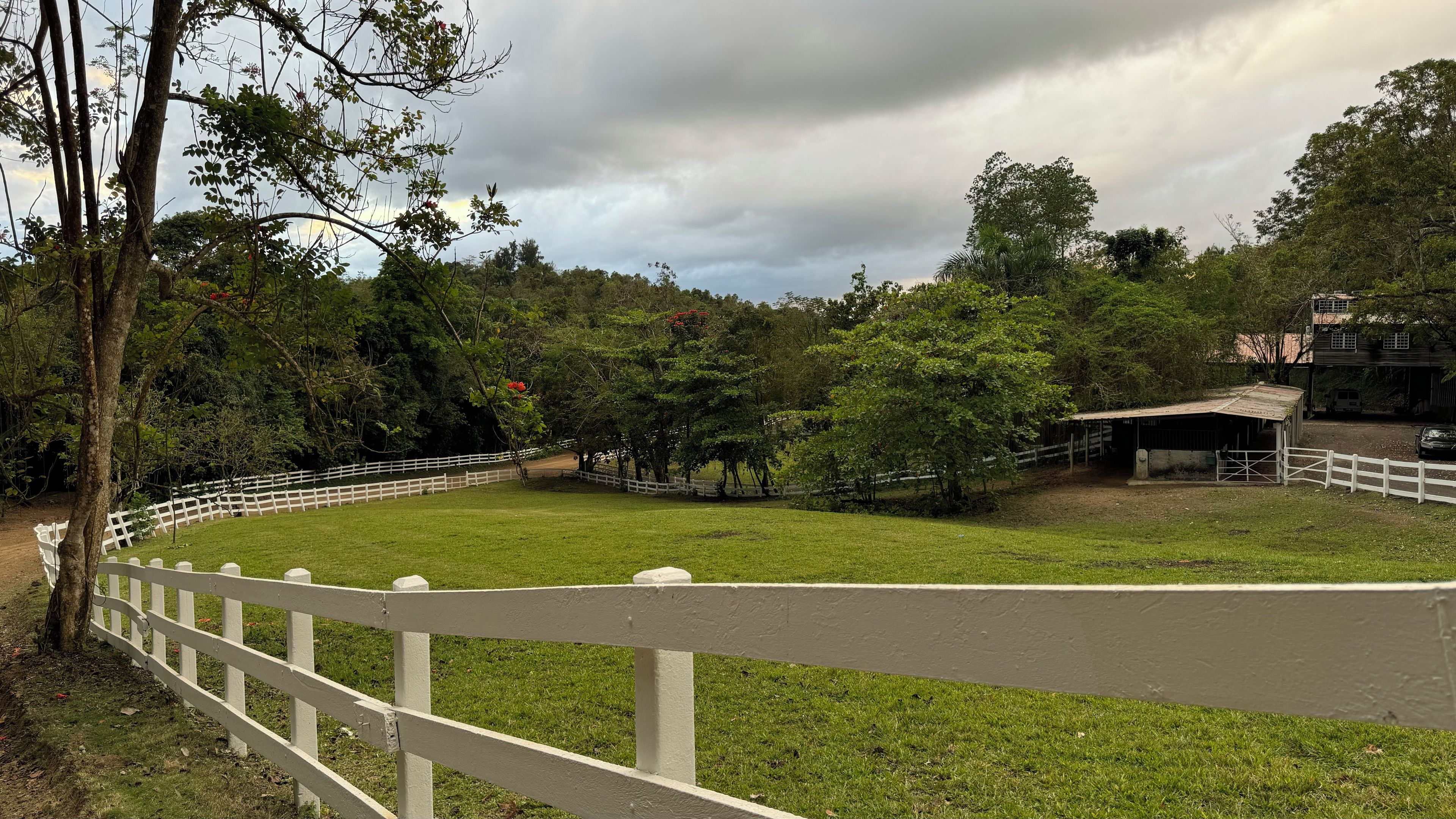 A fenced outdoor area with a grassy field, trees, and a building with a metal roof.