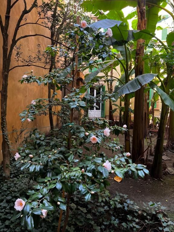 Un jardín con una variedad de plantas y árboles, incluyendo un destacado árbol de plátano.