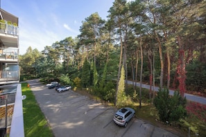Un quartiere residenziale con vialetto asfaltato, auto parcheggiate e alberi alti.