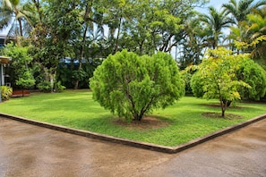 Un jardín bien cuidado con diversos árboles y un sendero pavimentado.