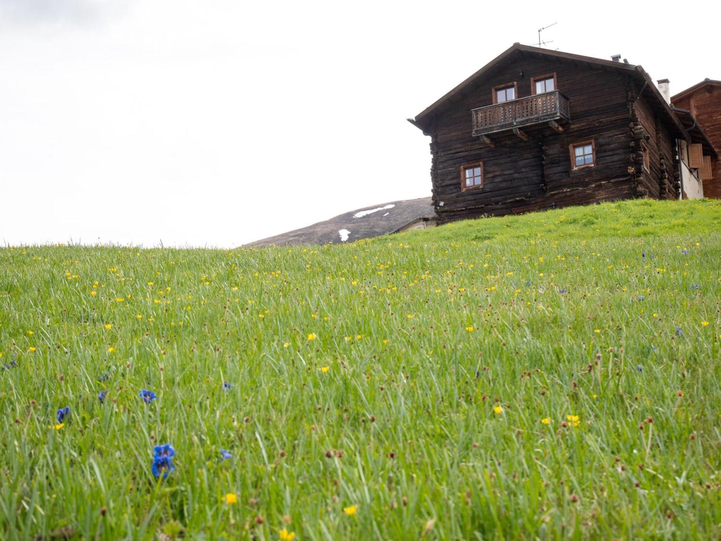Un chalet rustique en rondins de bois, doté d’un balcon, entouré d’un champ verdoyant parsemé de fleurs sauvages.