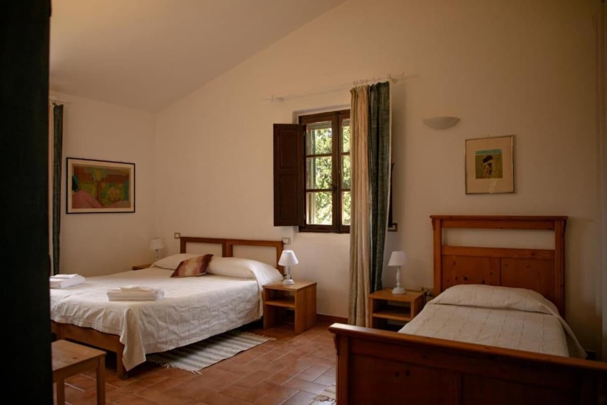 Une chambre avec deux lits, une fenêtre avec des rideaux, un tableau au mur et une tête de lit en bois.
