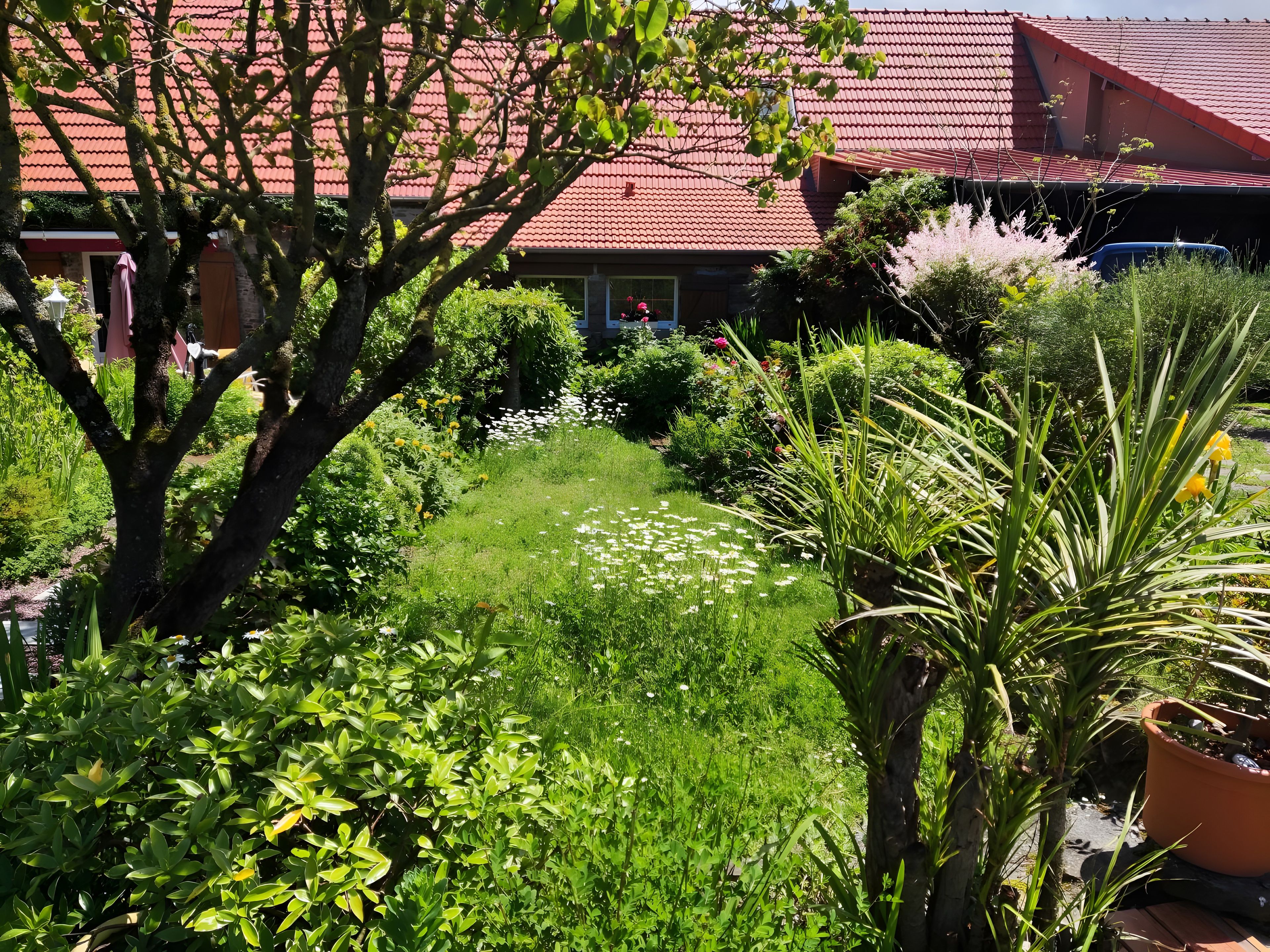 A lush garden with a variety of plants and a red-roofed building in the background.
