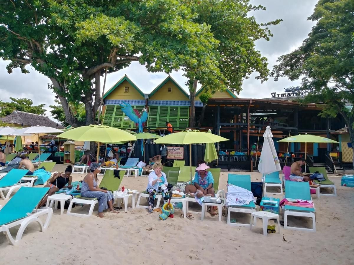 Une plage avec des chaises longues et des parasols, un bâtiment aux volets verts et un arbre qui offre de l’ombre.