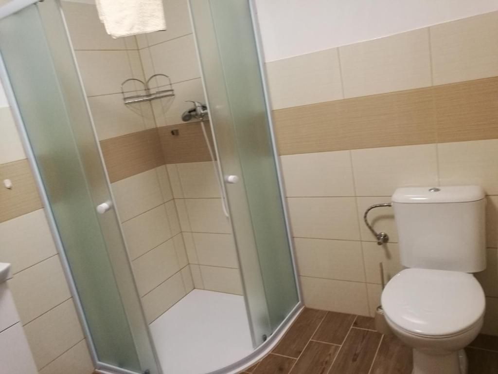Casa de banho com cabine de chuveiro em vidro, sanita e lavatório.