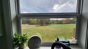 A window with a view of a grassy field and trees, a potted plant, a round clock, and a bottle of hand sanitizer on the windowsill.