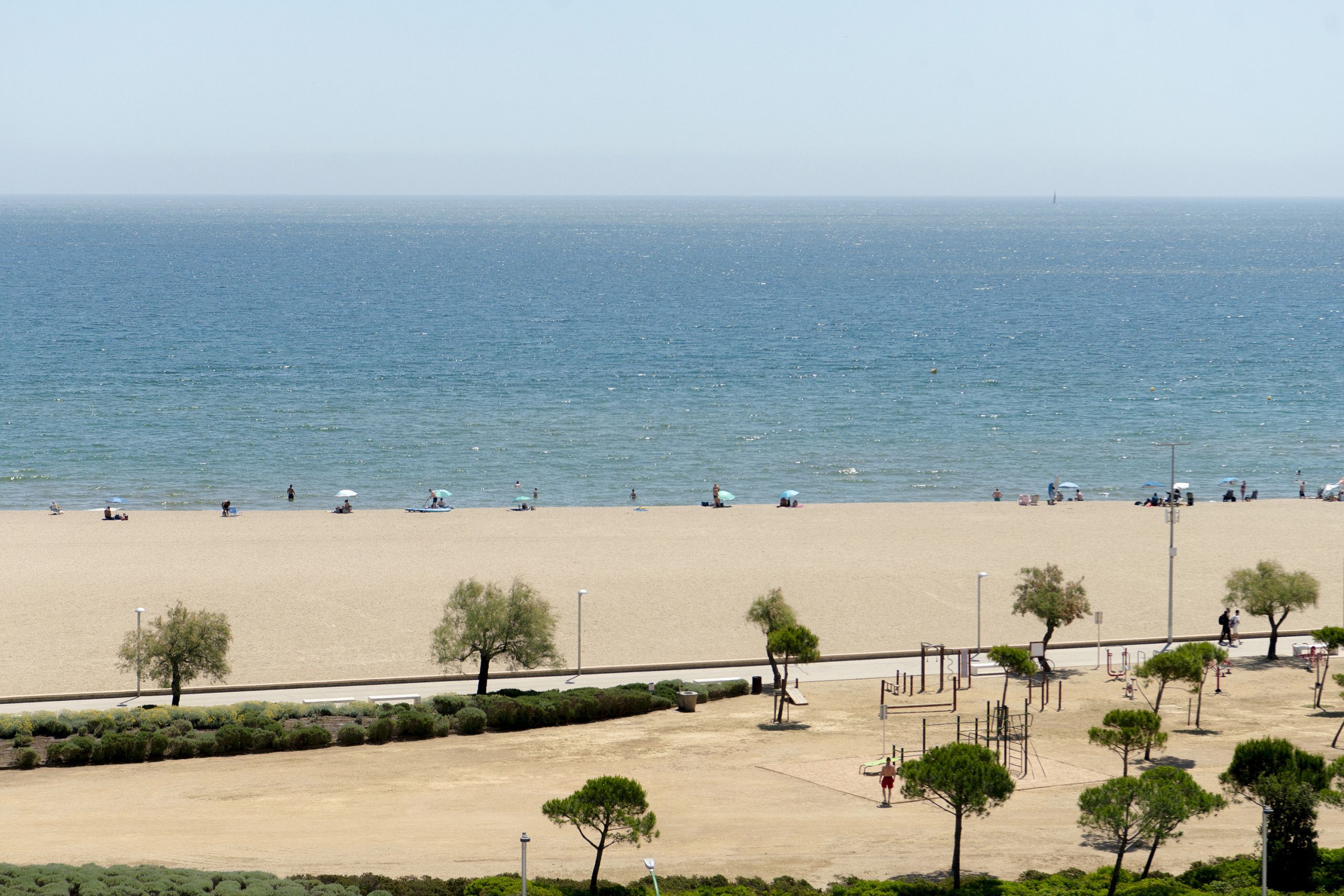 Une plage avec des gens, des arbres et un ciel dégagé.
