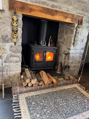 Une cheminée en pierre avec un poêle à bois, des bûches et un tapis.