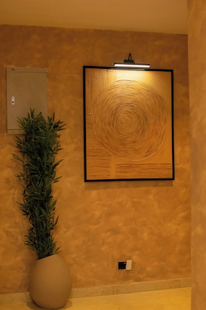 A wall-mounted artwork with concentric circles, a potted plant, and an electrical box. - Spacious unique 3 bedroom apartment (Lagos)