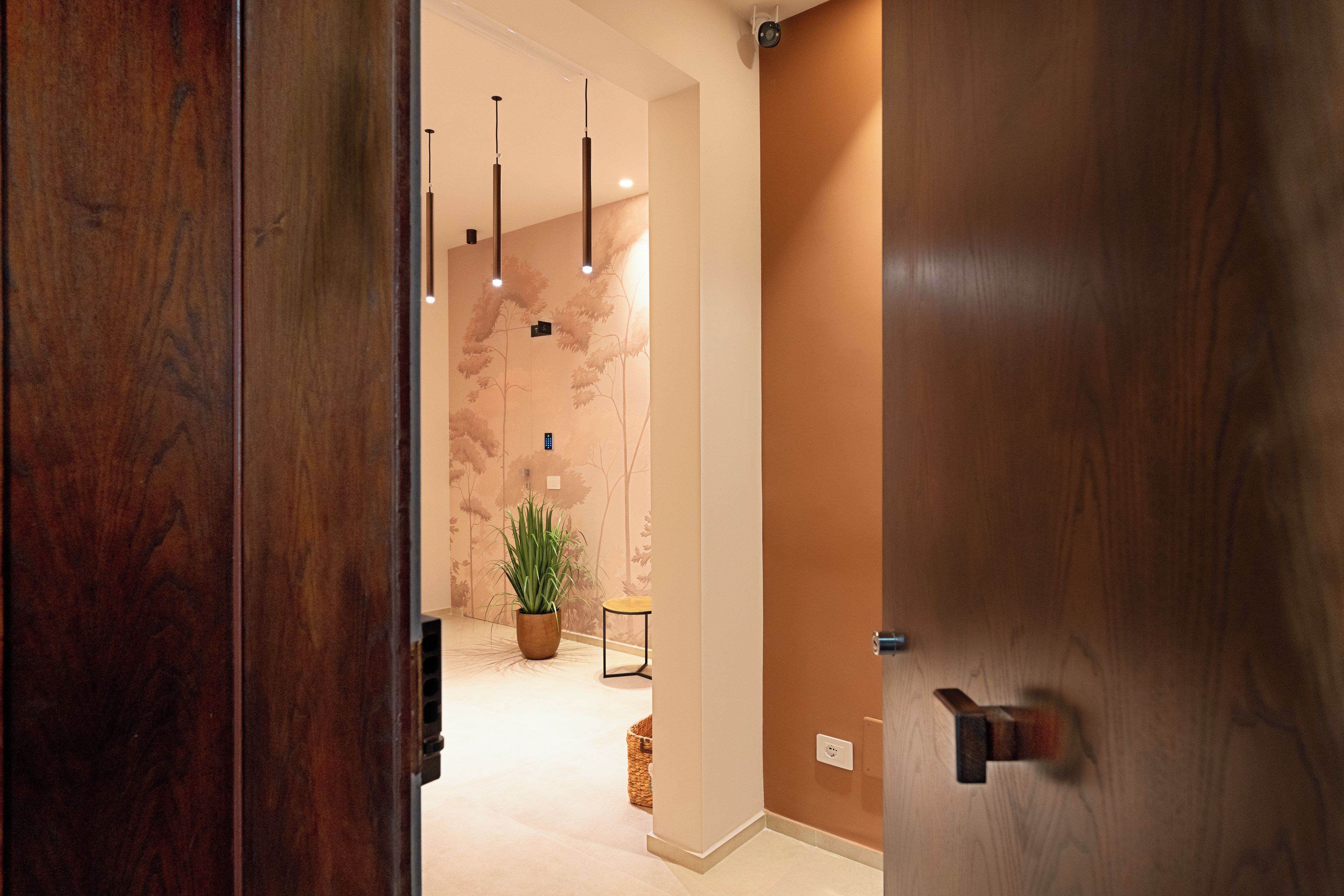 A hallway with a wooden door, a potted plant, and hanging lights.