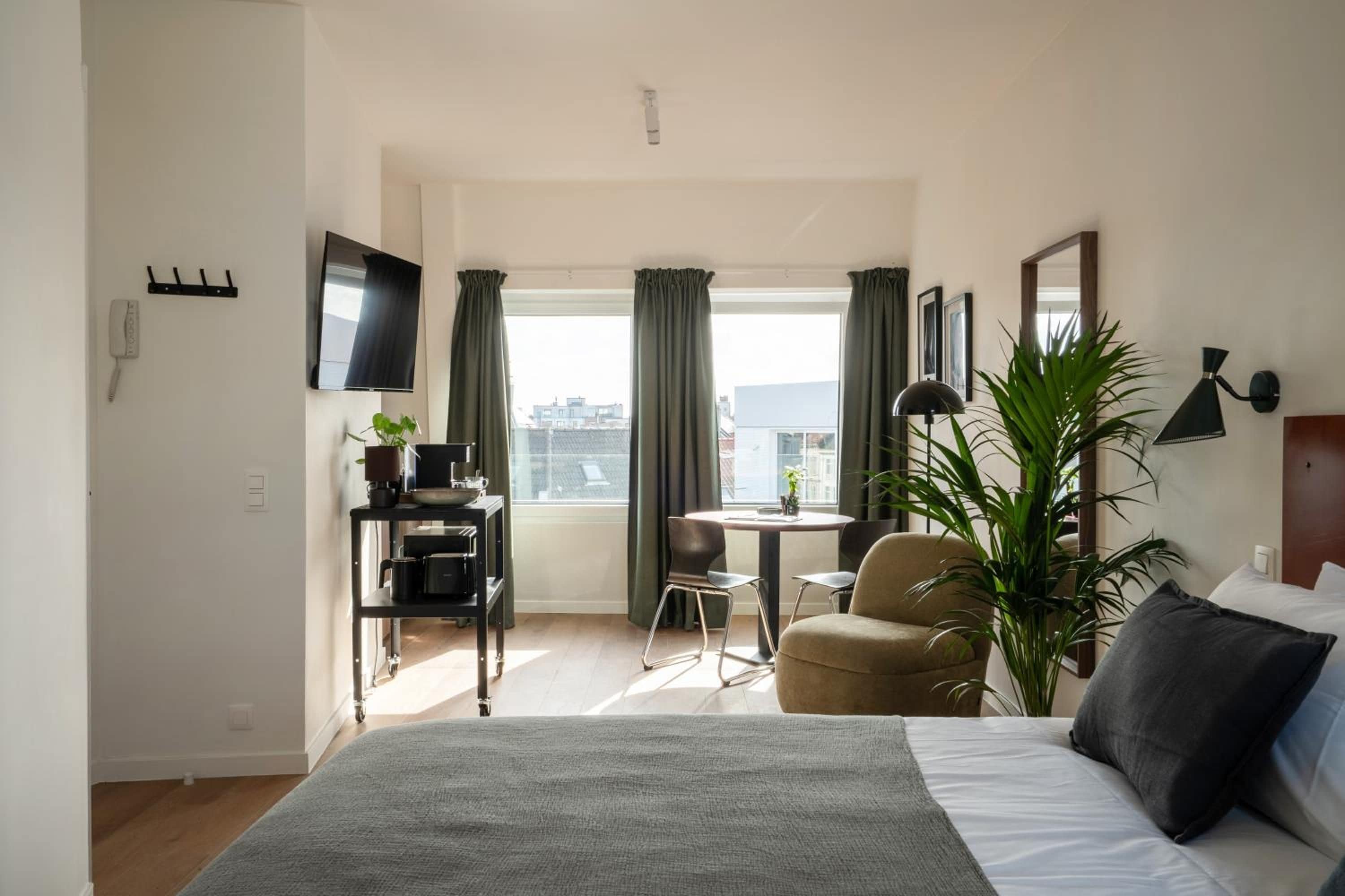 Ein Hotelzimmer mit Bett, Schreibtisch, Stuhl, Fernseher, Pflanze und einem Fenster mit Vorhängen.