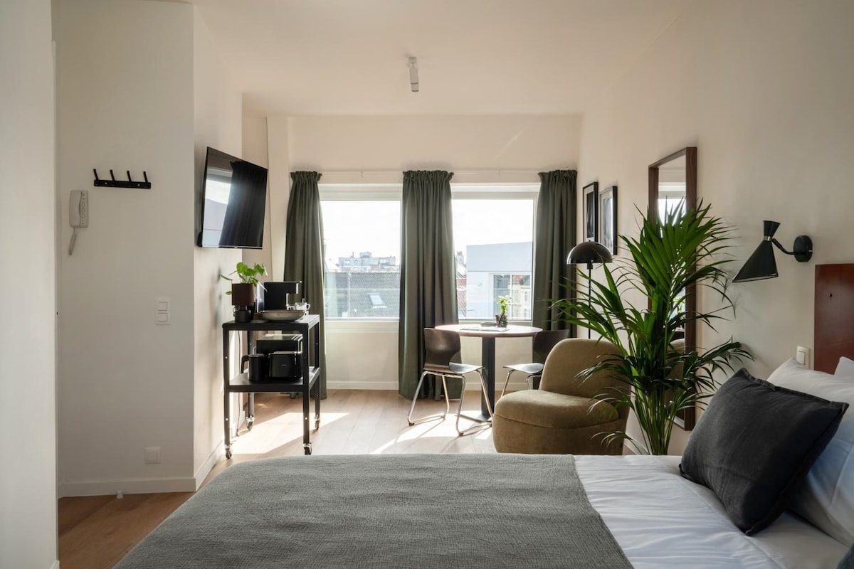 A hotel room with a bed, a desk, a chair, a TV, a plant, and a window with curtains.