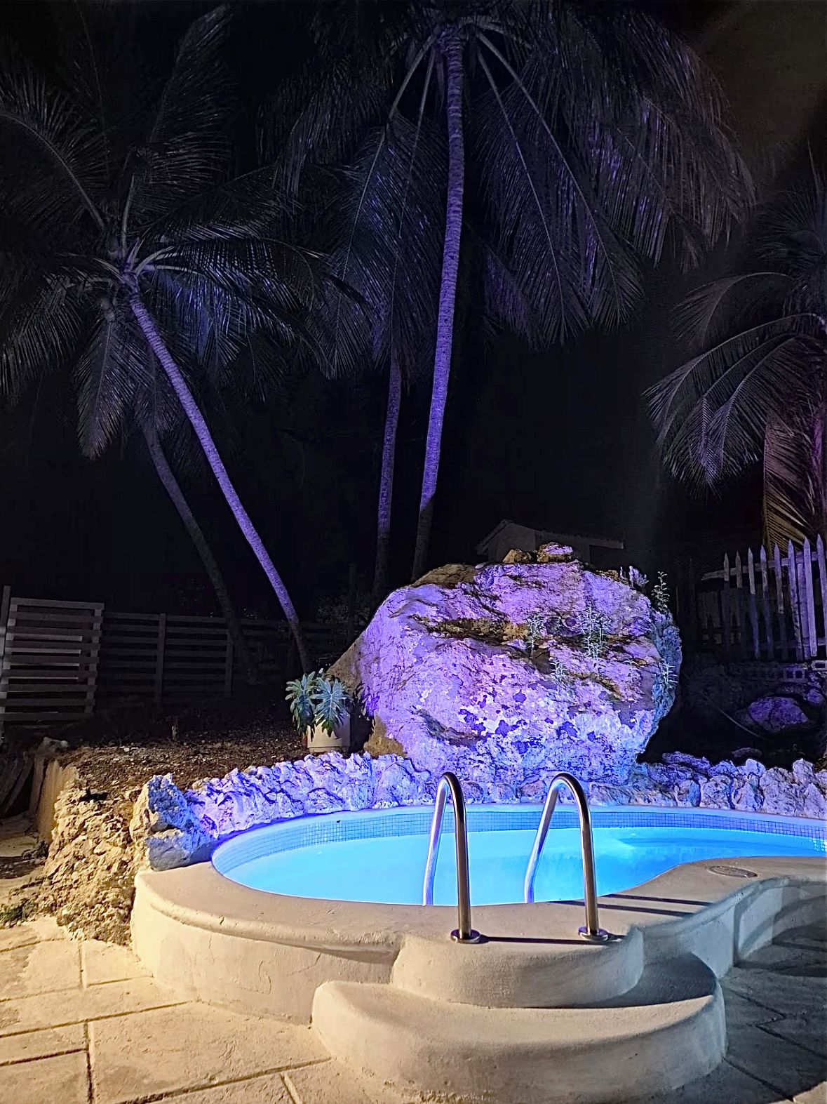 A swimming pool with two metal ladders, surrounded by palm trees and a rock formation.