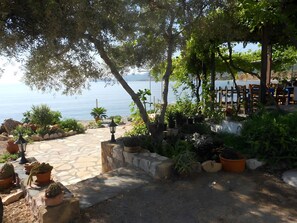 A patio area with potted plants, a stone pathway, and a view of the sea.