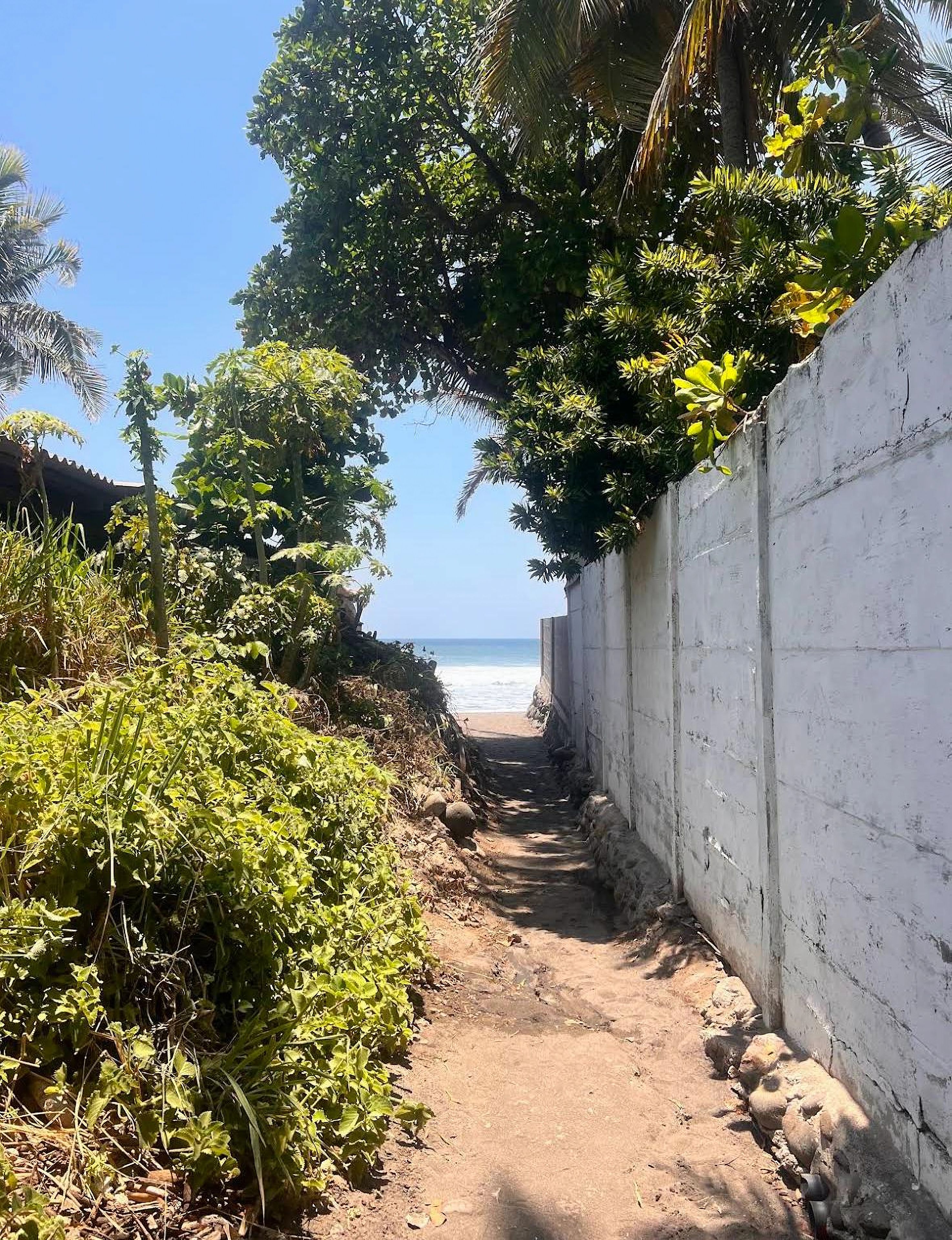 Un estrecho sendero de tierra que lleva a una playa, bordeado por follaje y una pared blanca.