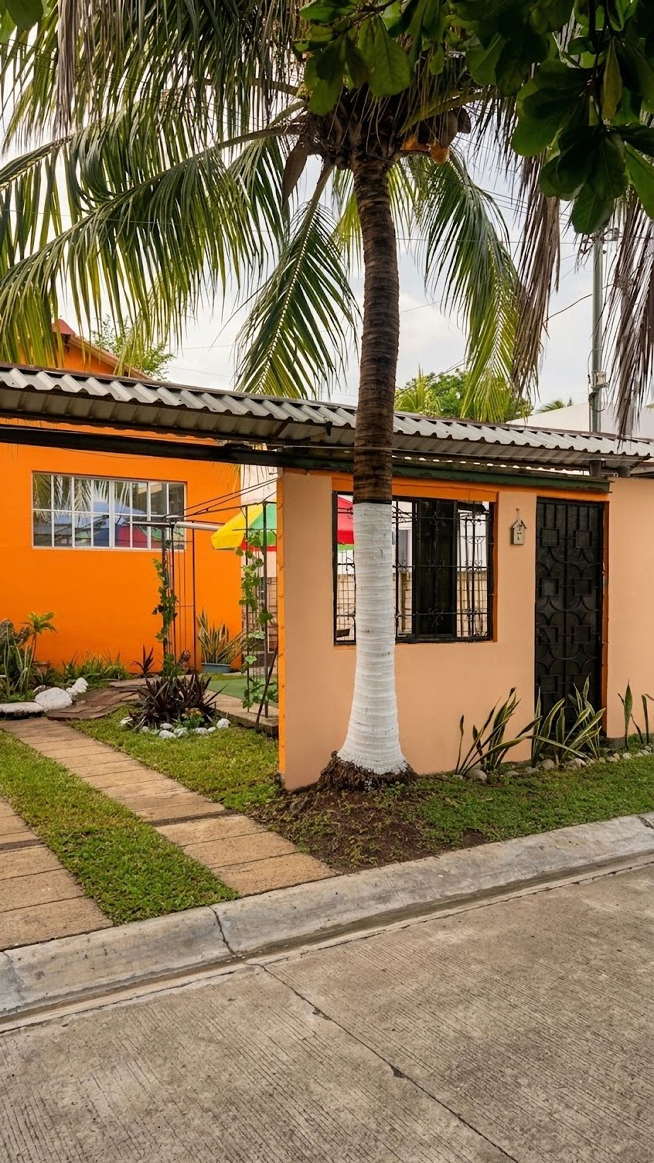 Um pequeno edifício térreo com telhado de cerâmica, uma palmeira em frente e um caminho de entrada pavimentado.