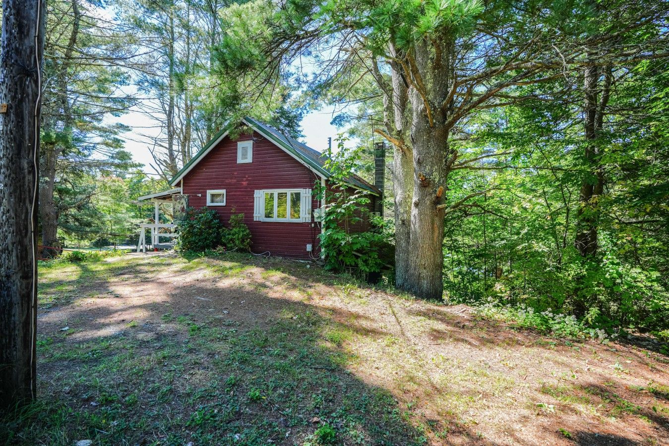 Eine rote Holzhütte mit Veranda, umgeben von dichtem Wald.