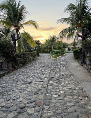 A cobblestone pathway flanked by palm trees and greenery, leading towards a residential area. - Soothing 2-bedroom house in quaint Playa San Blas getaway near ALL hot spots (Playa San Blas)