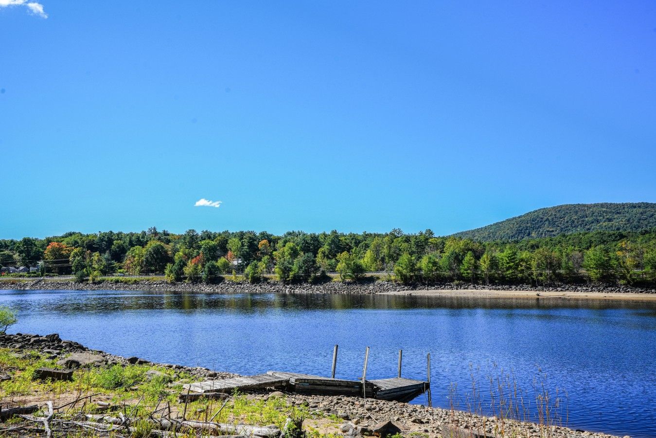 Un lago tranquilo con un muelle, rodeado de un bosque frondoso y una colina al fondo.