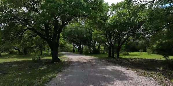 Miscellaneous - Tranquil 7-bedroom farmhouse with AC in Liberty Hill (Liberty Hill)