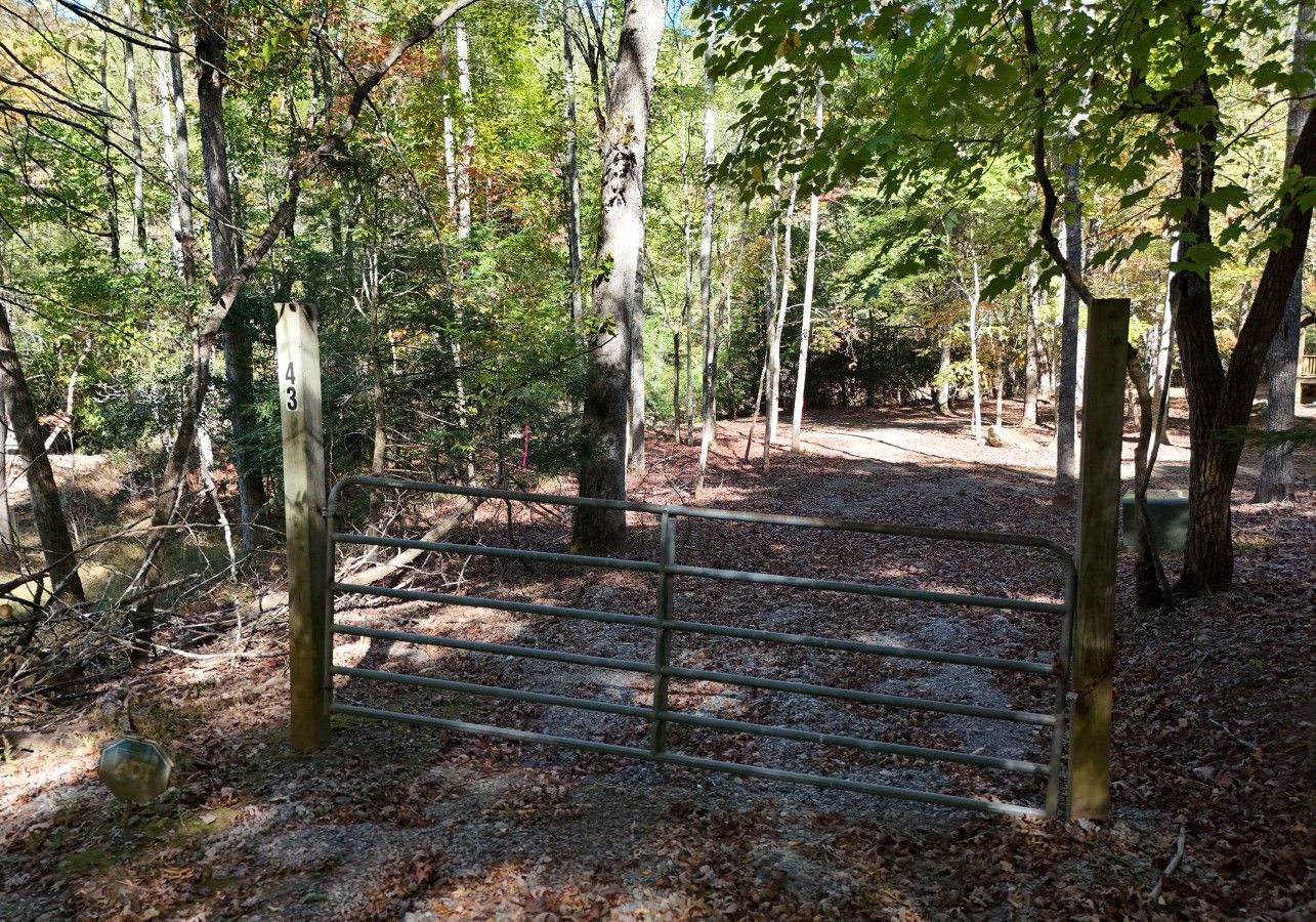 Ein Metallgitter in einem bewaldeten Gebiet mit Bäumen und einem Feldweg.