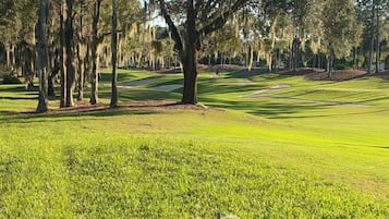 Un campo de golf con un árbol grande al frente y cielo despejado.