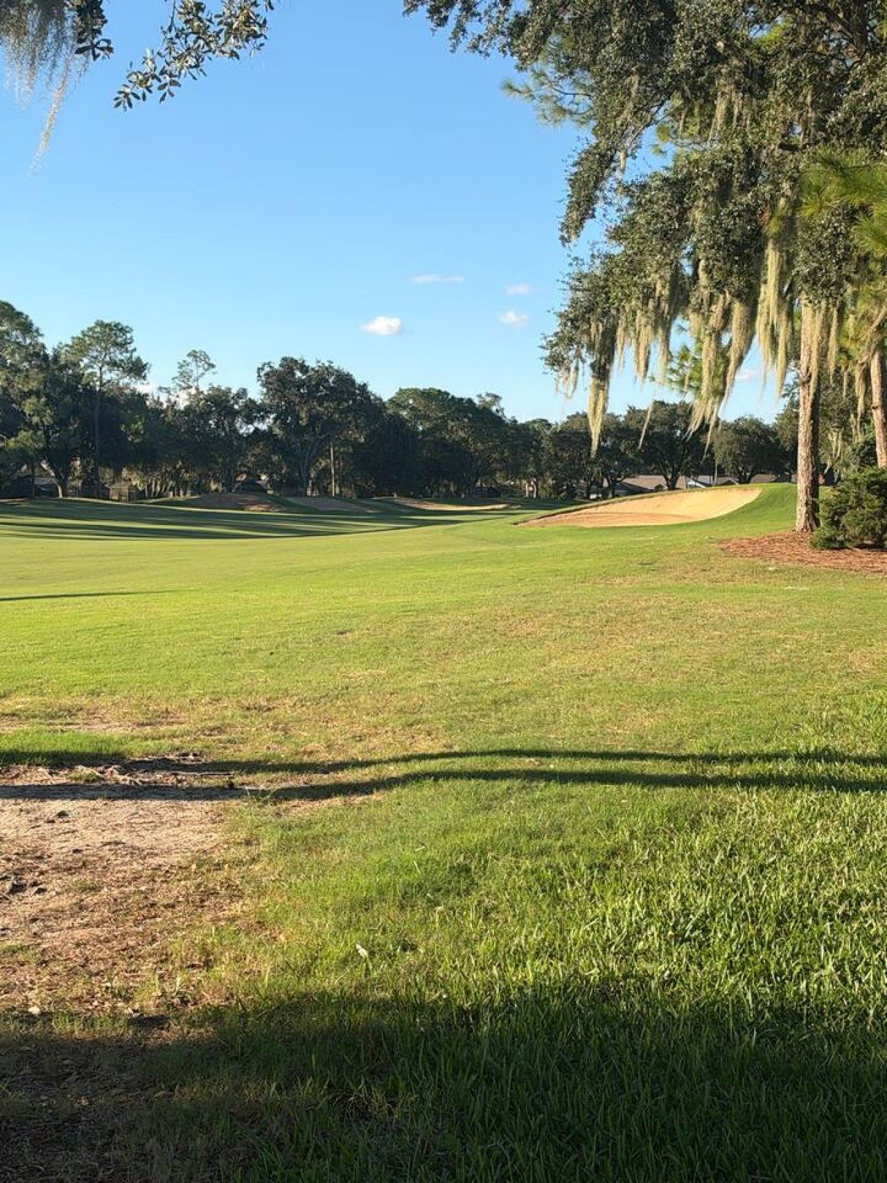 Een golfbaan met een heldere lucht, bomen en een goed onderhouden gazon.