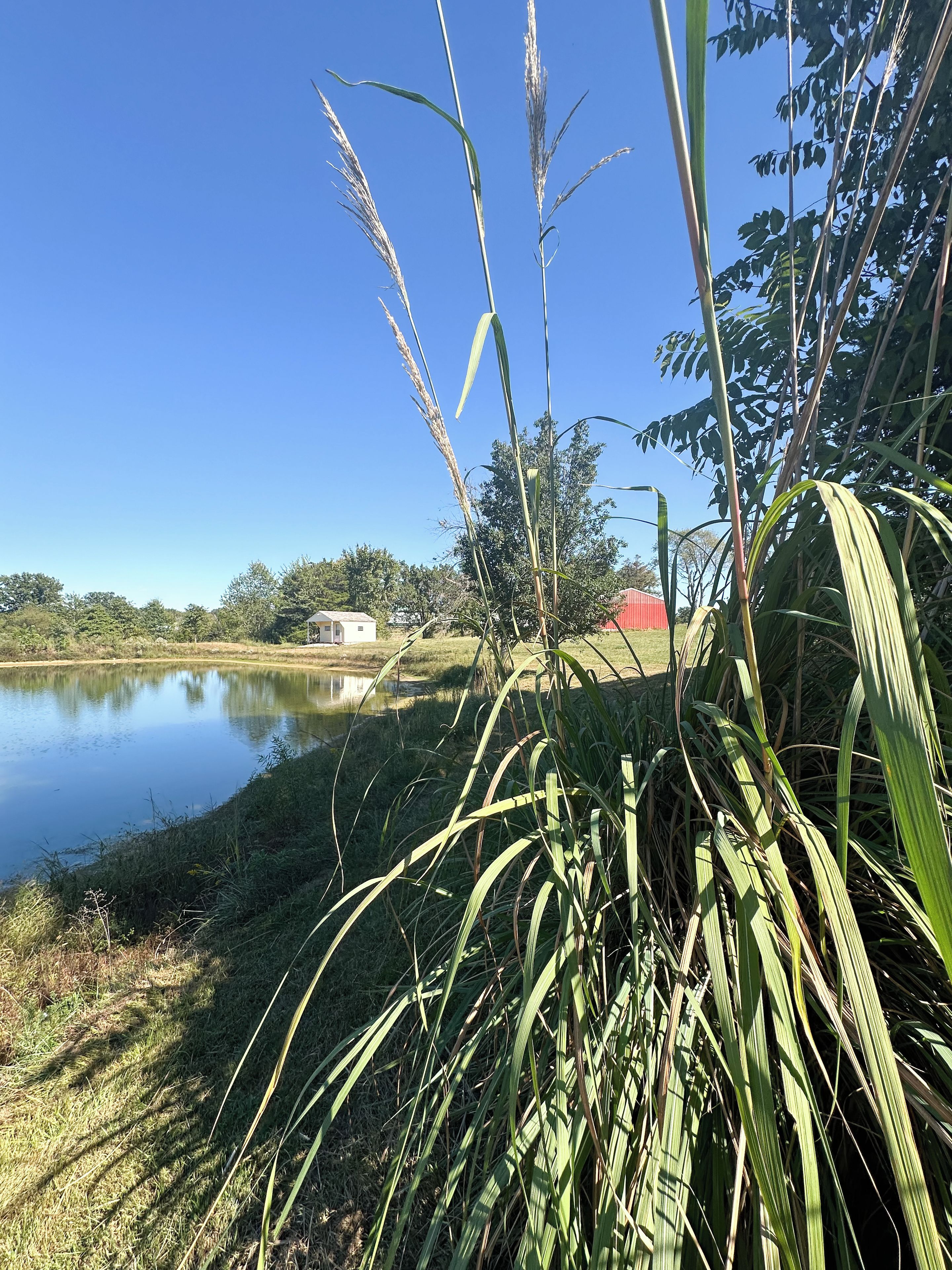 Un paysage paisible au bord d’un lac, avec un ciel dégagé, un petit bâtiment et une végétation luxuriante.