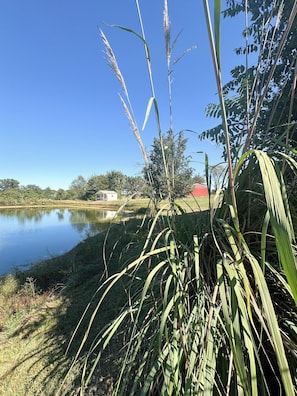 A tranquil lakeside scene with a clear sky, a small building, and lush greenery. - Country getaway + private pond (Creal Springs)