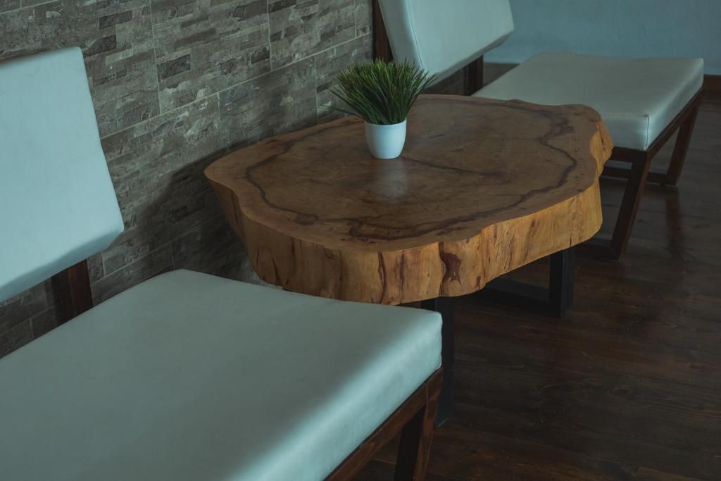 Una mesa redonda de madera con una planta encima, ubicada entre dos sillas blancas con reposabrazos en una habitación con pared de ladrillo.