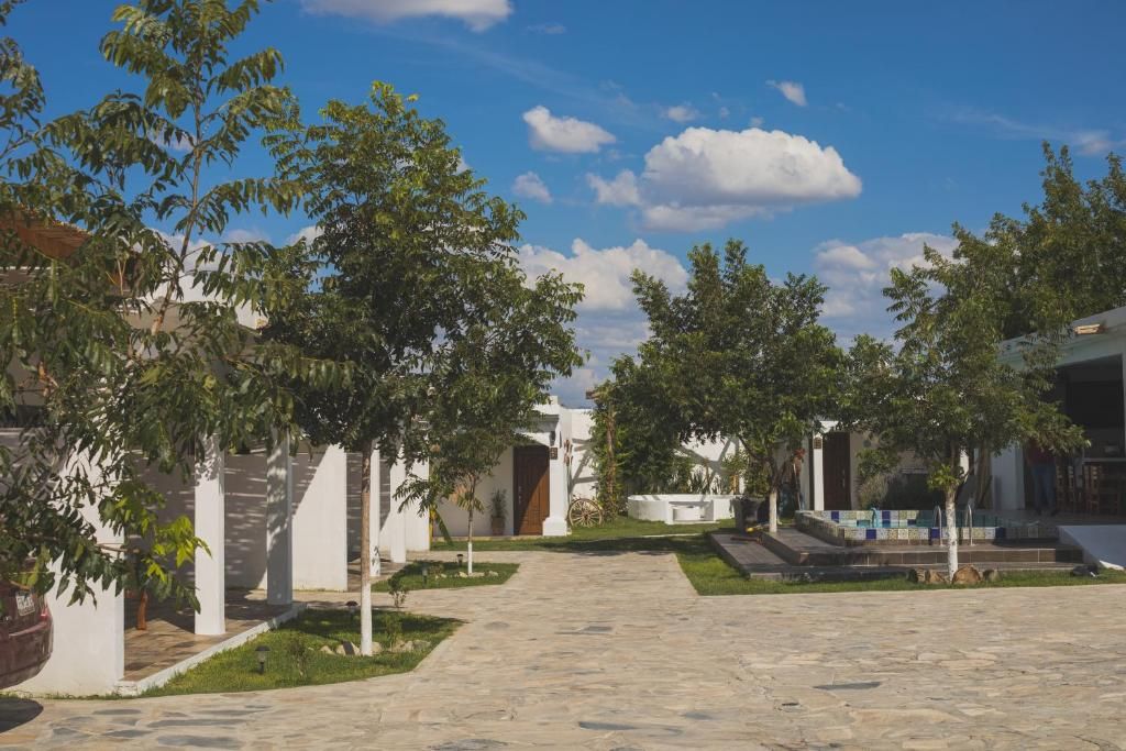 Un patio con un sendero empedrado, edificios blancos y árboles verdes.
