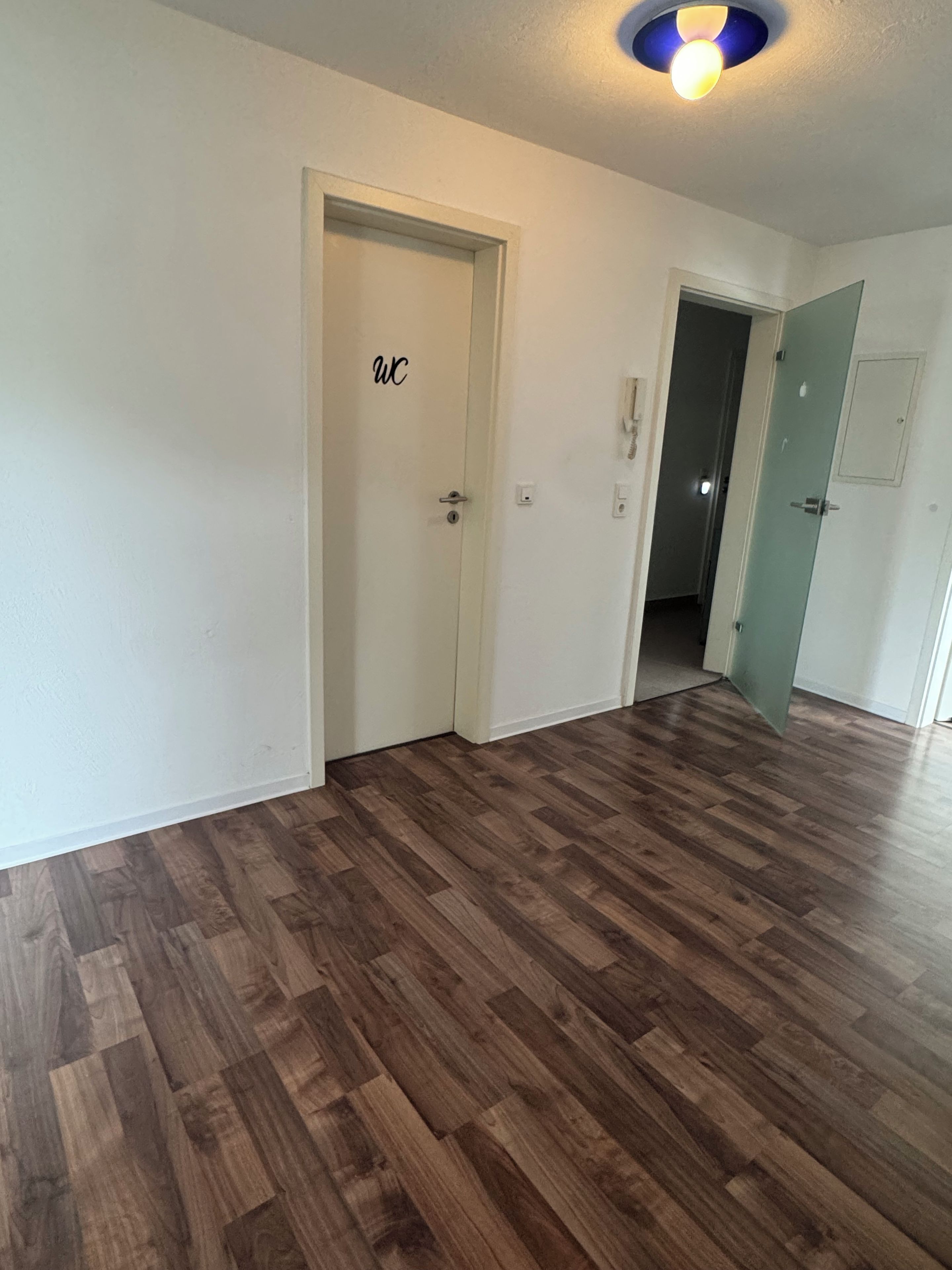 A hallway with wooden flooring, a door labeled 'wc,' and a ceiling light fixture.