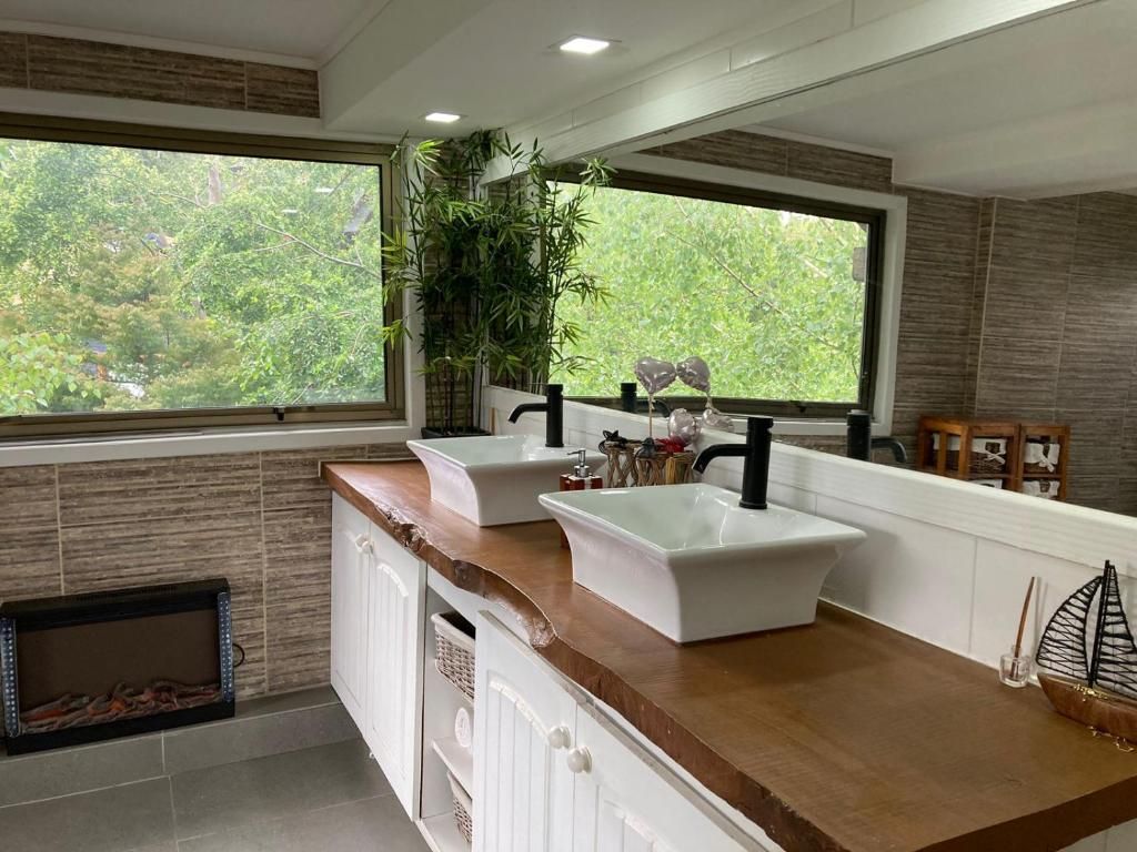 Cocina moderna con dos fregaderos, una ventana con vistas a la vegetación y una planta integrada.