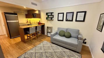 A compact living space with a kitchenette, a grey sofa with cushions, a patterned rug, and wall art.