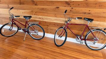 Two bicycles parked indoors against a wooden wall.