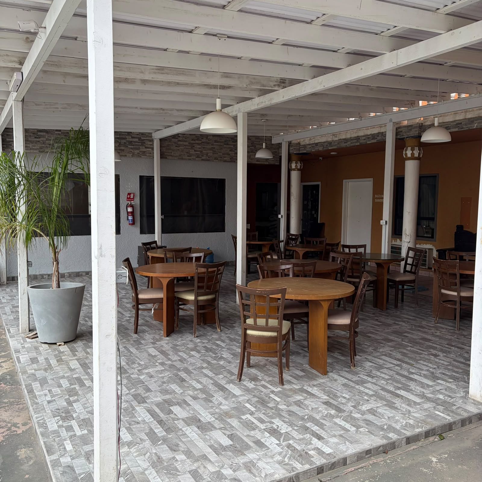 An outdoor cafe area with multiple wooden tables and chairs, a large potted plant, and a fire extinguisher on the wall.